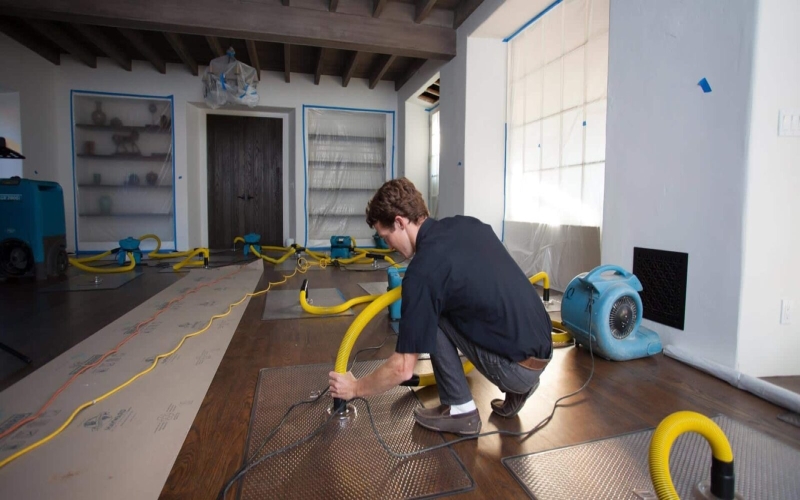 Comprehensive Guide to Professional Water Damage Restoration