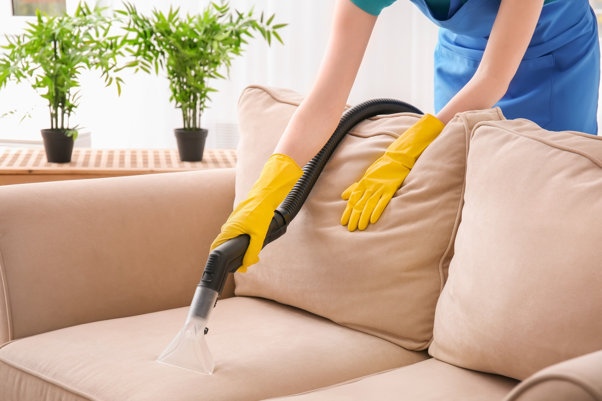 Effective Upholstery Cleaning: Tips and Techniques