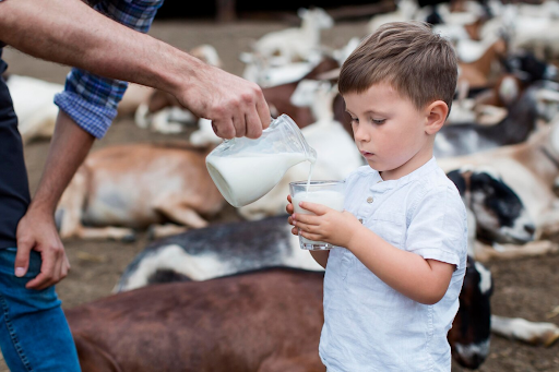 Understanding the Importance of the WellHealthOrganic Buffalo Milk Tag